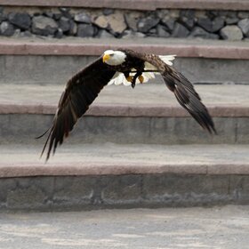 ���� ��������. �� �������...