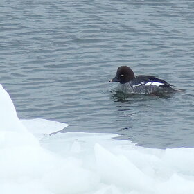 ����. �����. ����� ������������� ������