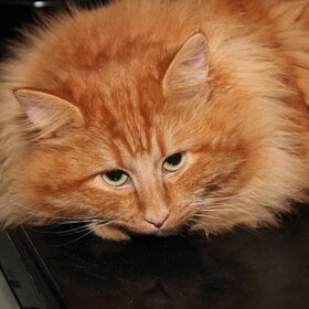 �� ����� ����, ��������, � � ������...