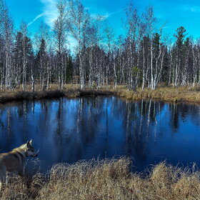 ����. ���� ��������. �������� ��������