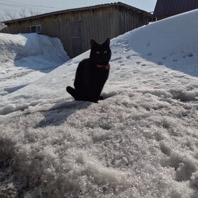 ����. ���� ��������. ����� � ����� ������!!!