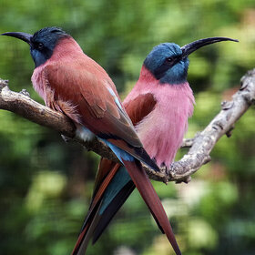 ����. ��������� �����. ��������� �����