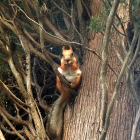 ����. �������������. ����� �� �����