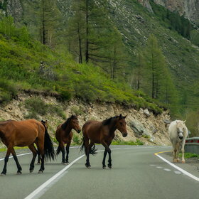 ����. �������� ��������. �������� ��������