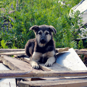 ����. ����. ��� ���������,�� ������..........