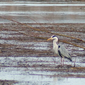 ����. ���� ��������. ����� �����