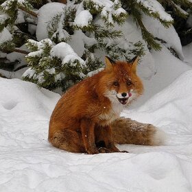 ����. ���� ��������. � ����� �����!