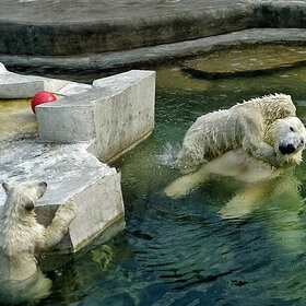 ����. ���� ��������. ���� �������!