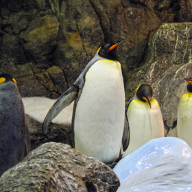 � � � ������� �� ��������. ������� ���� ������ �����.