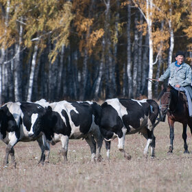 ����. ���� ��������. �������� ��������