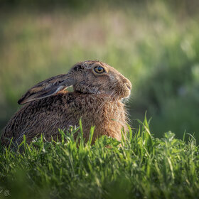 ����. ����� ��������. �������� ���