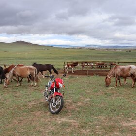 ����� ���� ��������. �������� ����