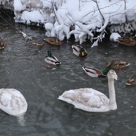 ����. �����. ��������� �����