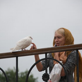 ����� ���� ��������. �����