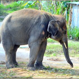 ��������� �����