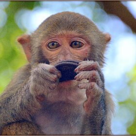 ����. ����� ���. ������� ���������