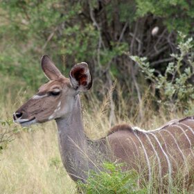 ����. ���. � ����� ���� ����� ������� ���? ����� ��� �� ����.