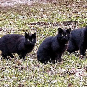 ����� ���� ��������. �Ѩ ��� ���������!