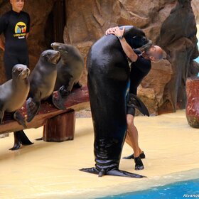 ����. ������. �������� ��� ������...