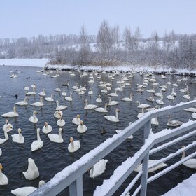 ����. �����. ��������� �����