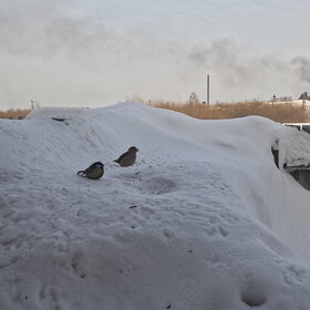 ����. �����. ������� � �������