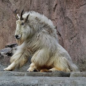 ����. ����� ��������. �� ����� ���������