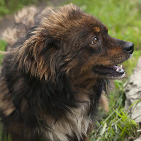 ����. ���� ��������. �������� ��������