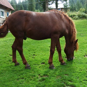 ����. ���� ��������. �������� ��������