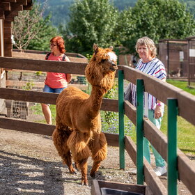 ����� ���� ��������. ����� ��������