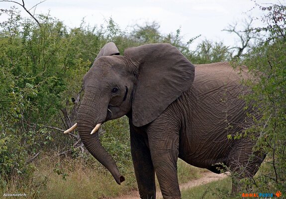 ���� ���. �� ��������, �� ��������.