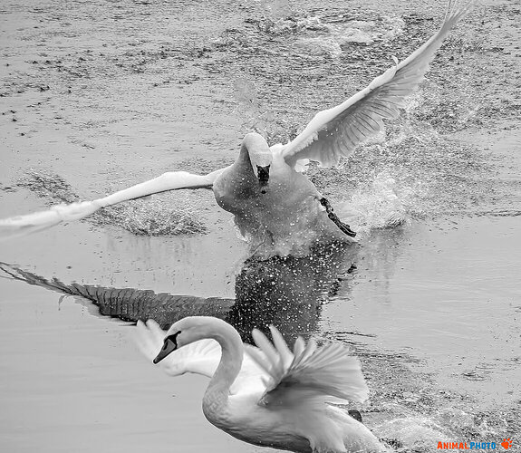 ���� ���. ��������� ����