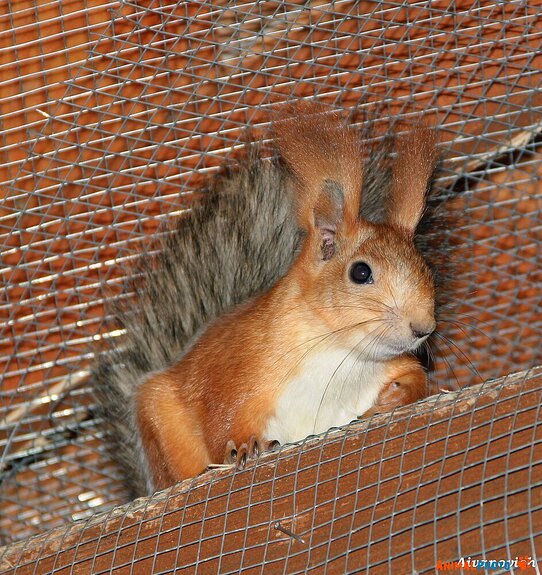 ���� ���. �� ������ ��� ������...