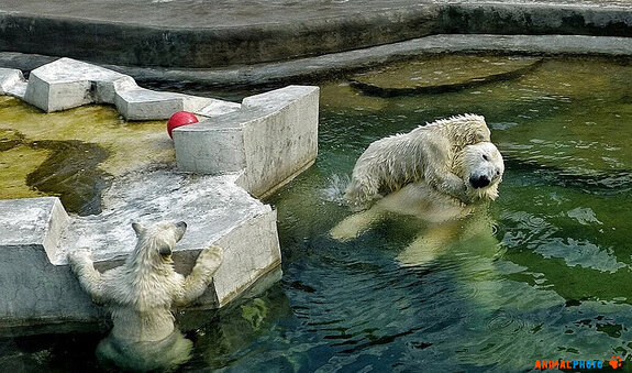 ���� ���. ���� �������!