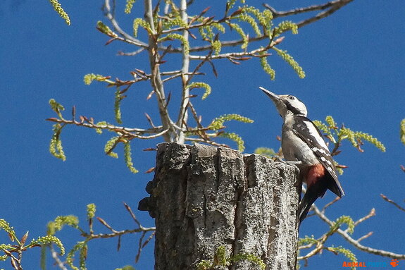 ���� ���. ���� ������ ����