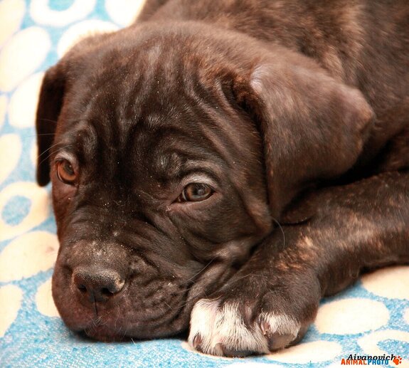 ���� ���. ������ �� ����.